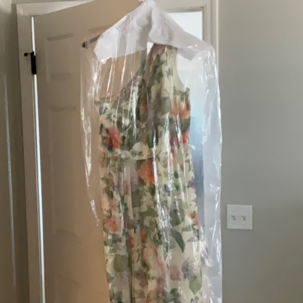 David’s Bridal Dress
